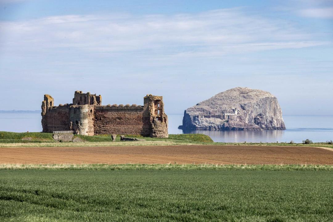Photo of Others in North Berwick