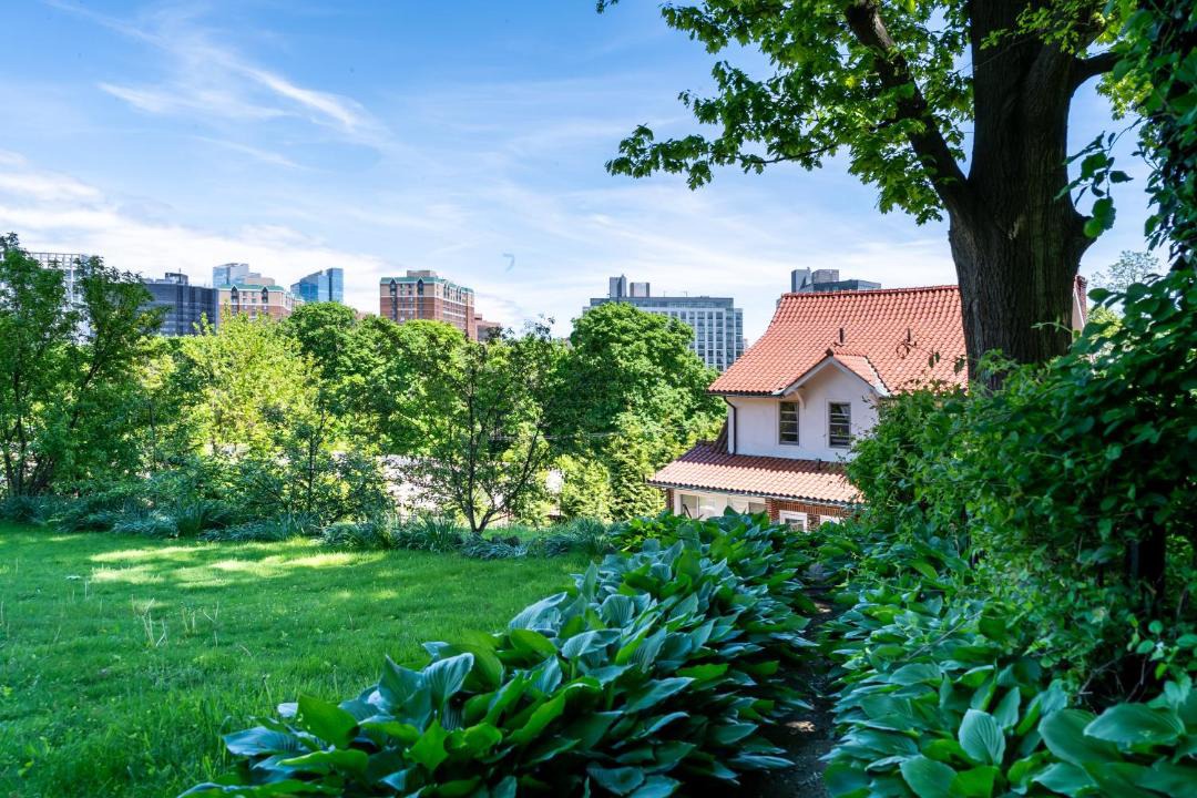 Photo of Others in White Plains