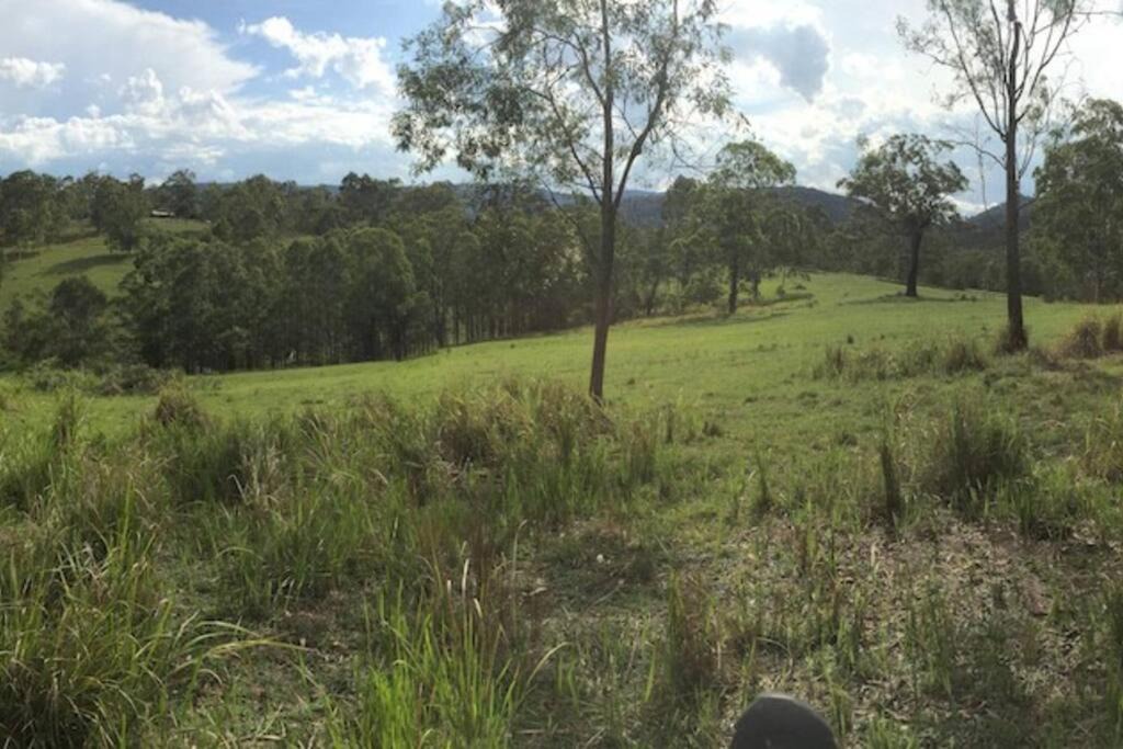 Photo of Others in Mount George