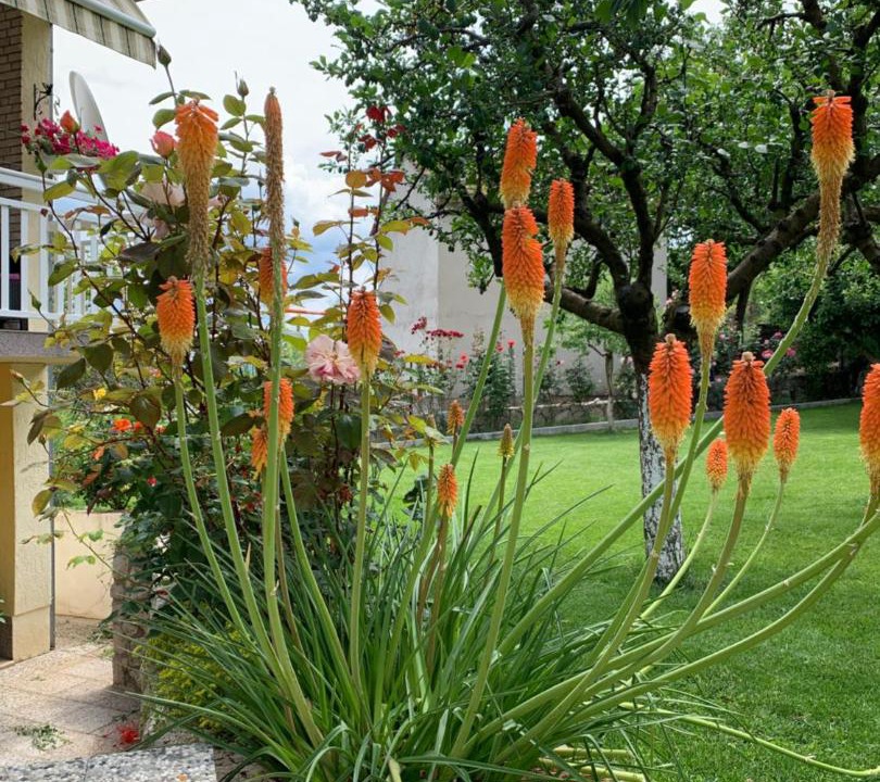 Photo of Outdoor in Zmijavci