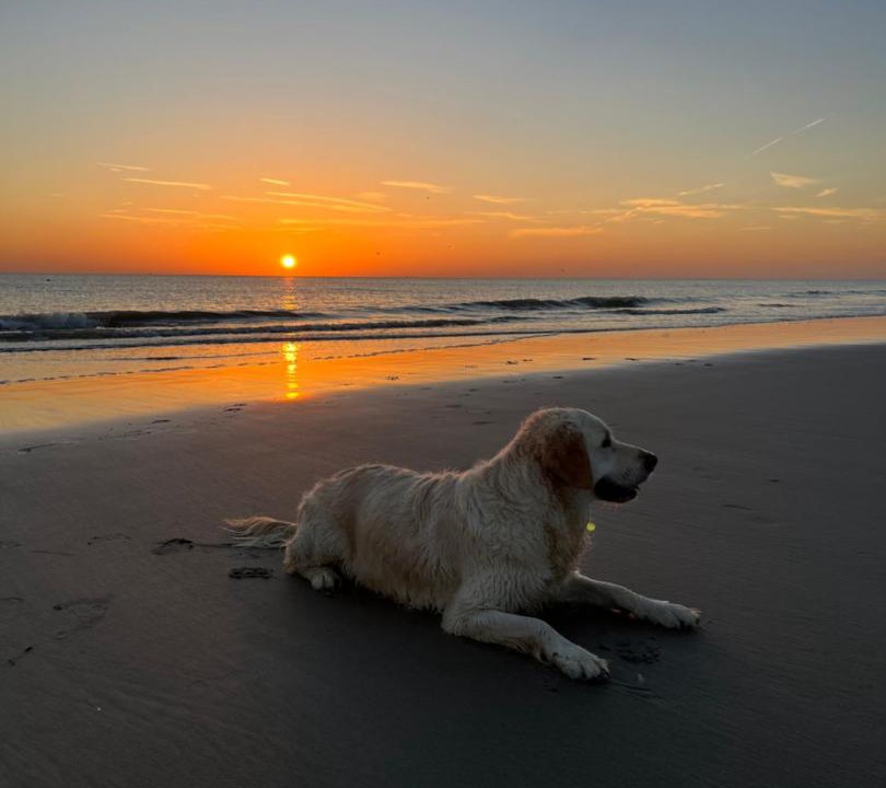 Photo of Others in Equihen-Plage