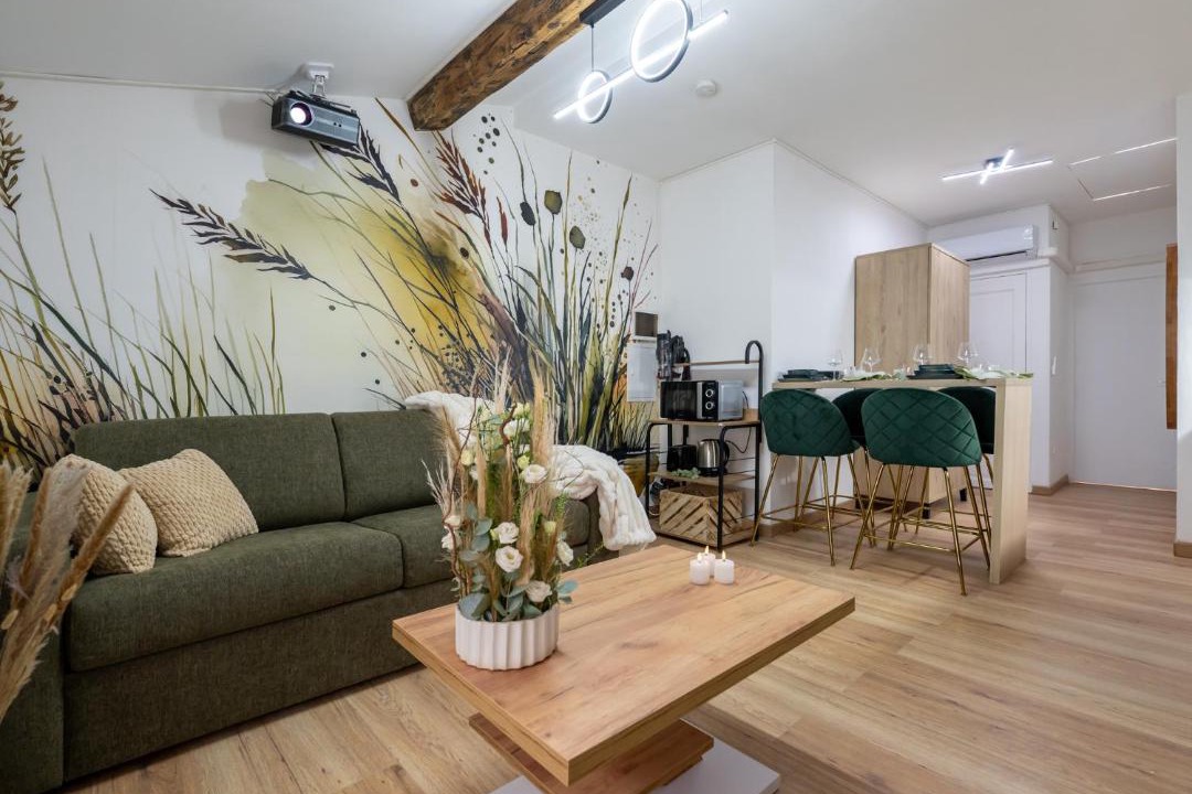 Photo of Livingroom in Centre Ville