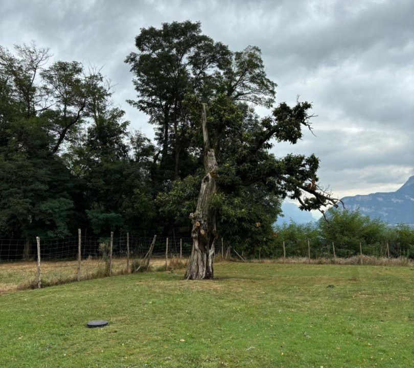 Photo of Others in Moirans