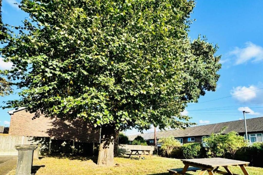 Photo of Others in Wakefield