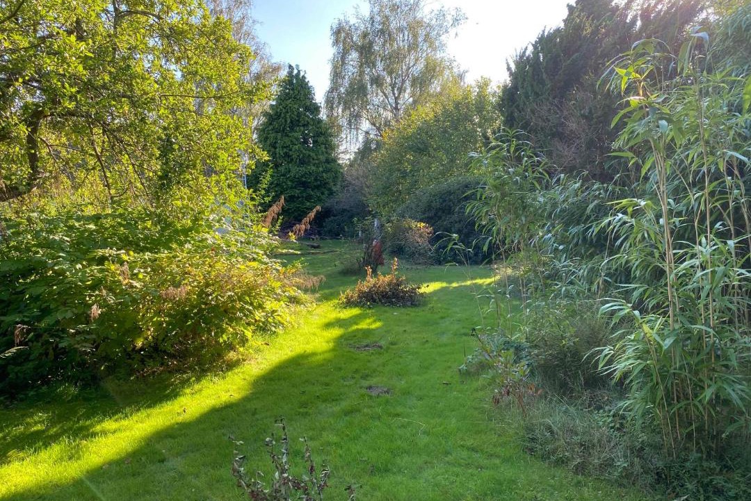 Photo of Outdoor in Dronningmolle