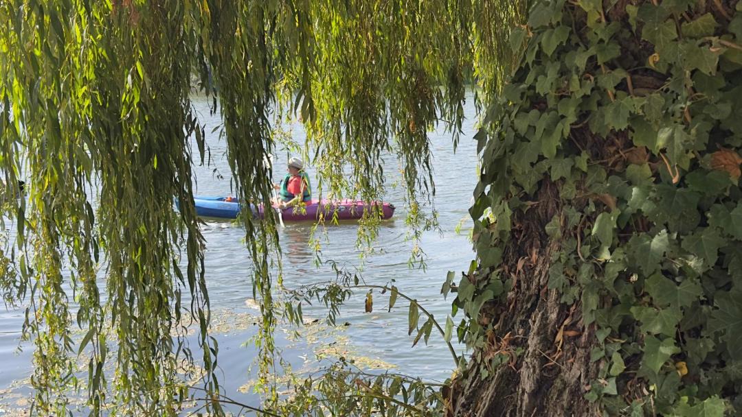 Photo of Others in Le Temple-sur-Lot