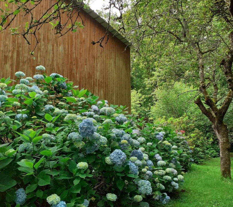 Photo of Others in Saint-Ouen-des-Alleux