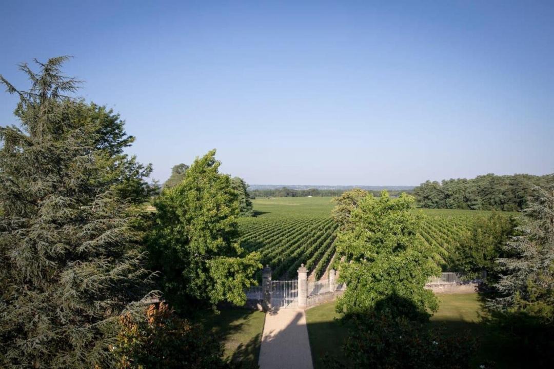 Photo of Others in Lamarque