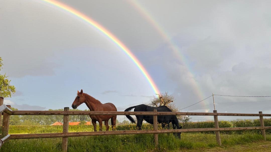 Photo of Others in Steenwerck