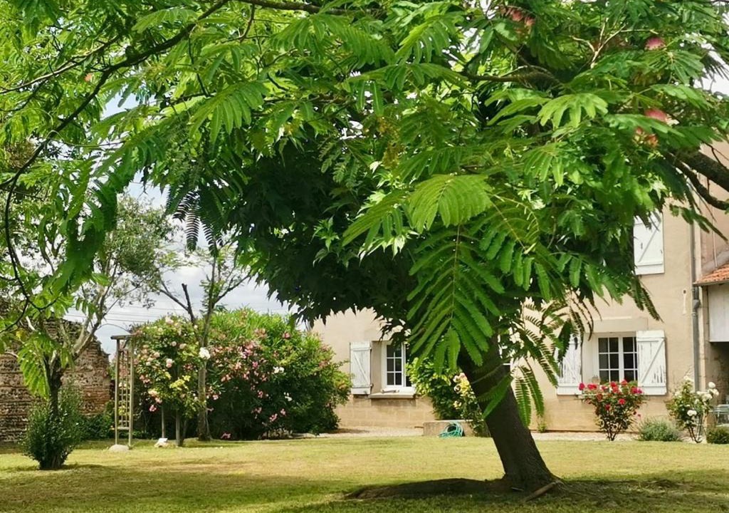 Photo of Others in Sauveterre-Saint-Denis