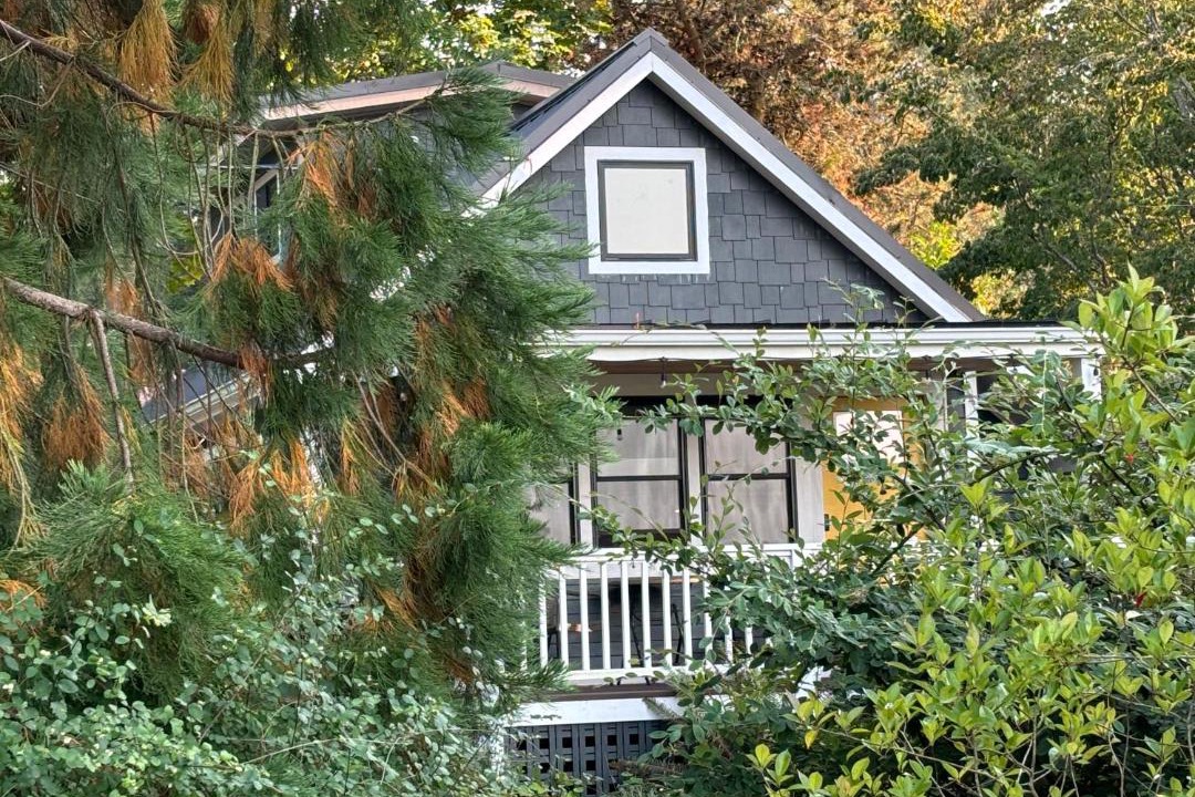 Photo of Others in Nordland