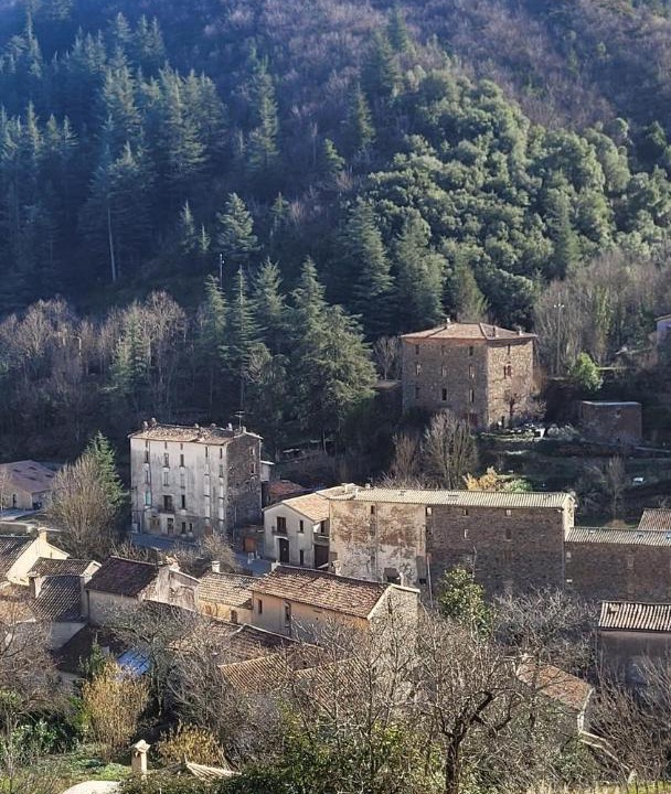 Photo of Others in Valleraugue