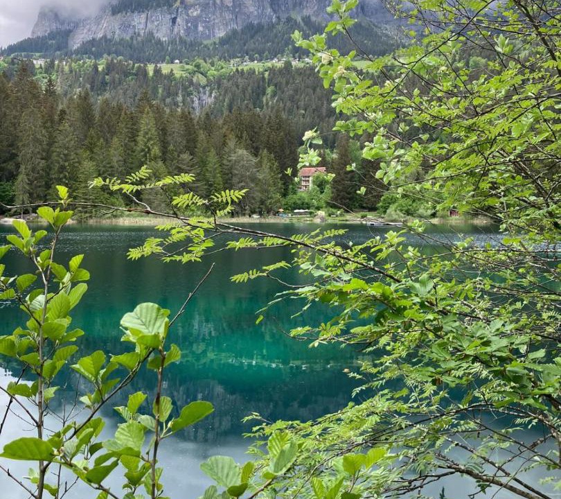 Photo of Others in Flims