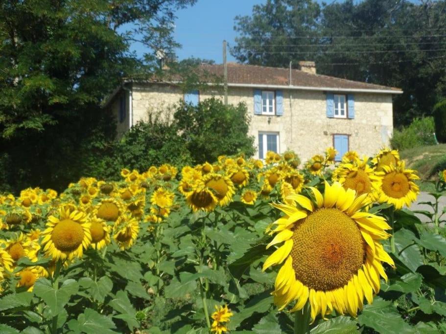 Photo of Others in Faget-Abbatial