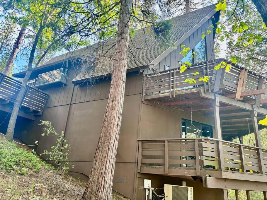 Photo of Others in Hathaway Pines