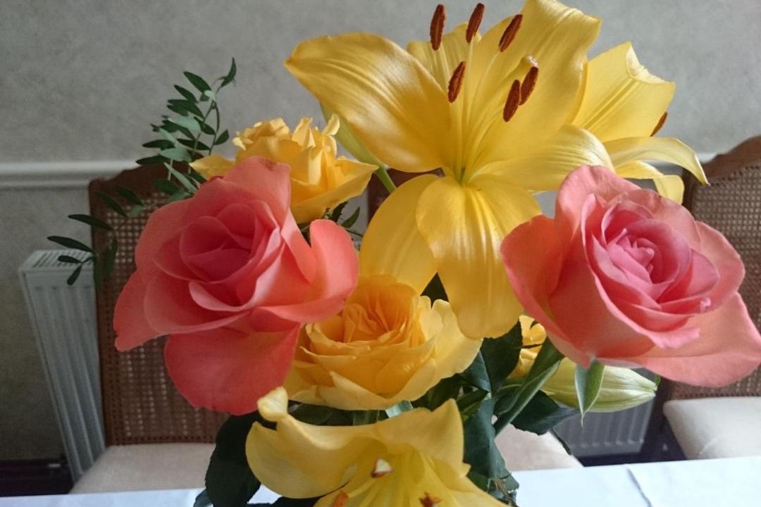 Photo of Others in St Austell