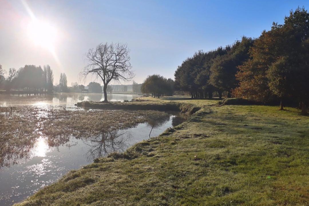 Photo of Others in Bridore