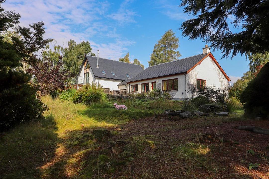 Photo of Others in Newtonmore