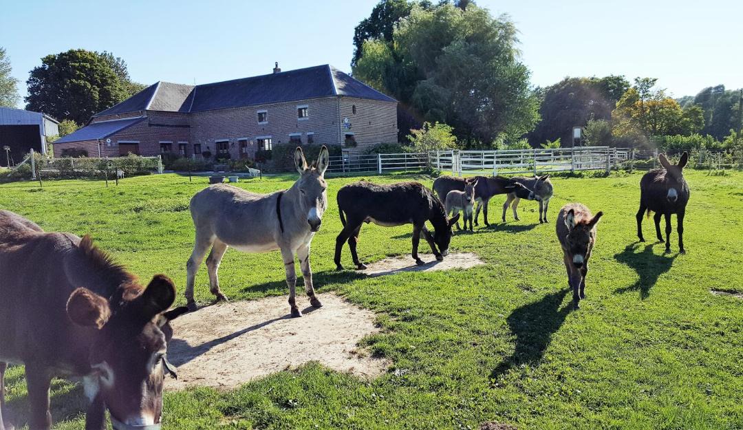 Photo of Others in Saint-Hilaire-sur-Helpe