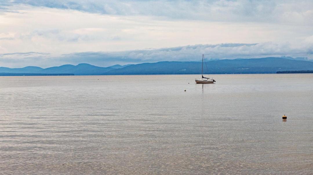 Photo of Others in Malletts Bay