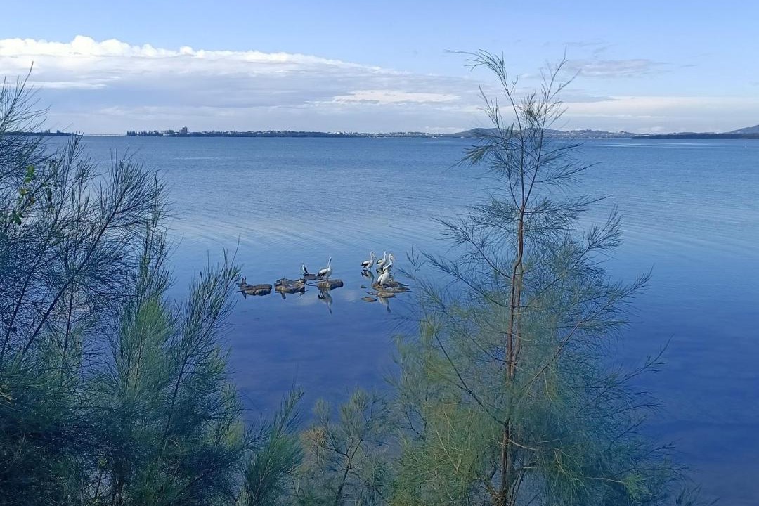 Photo of Others in Rocky Point