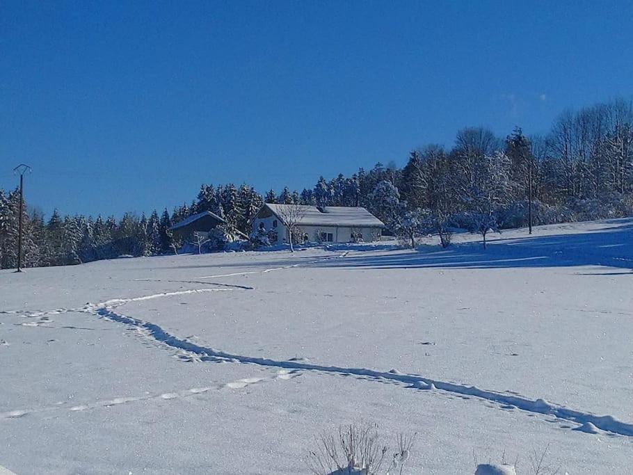 Photo of Others in Liezey
