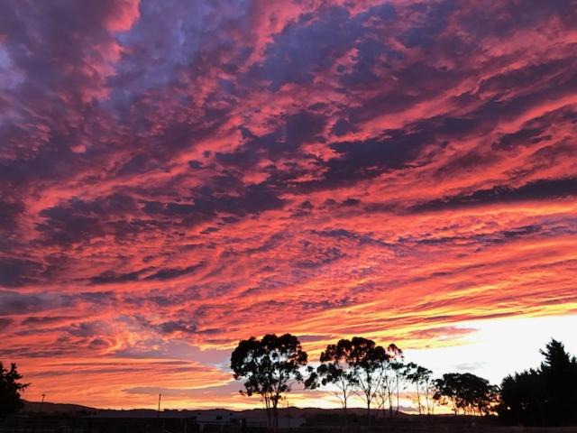 Photo of Others in Longlands