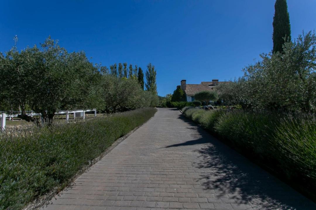 Photo of Others in Requena