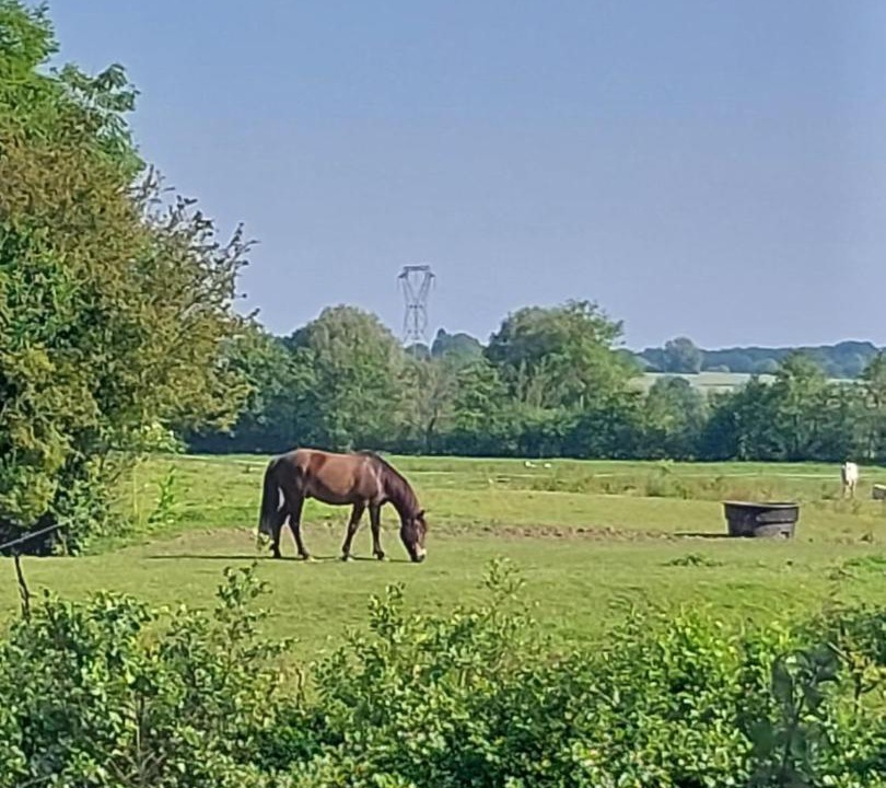 Photo of Others in Aulnoye-Aymeries