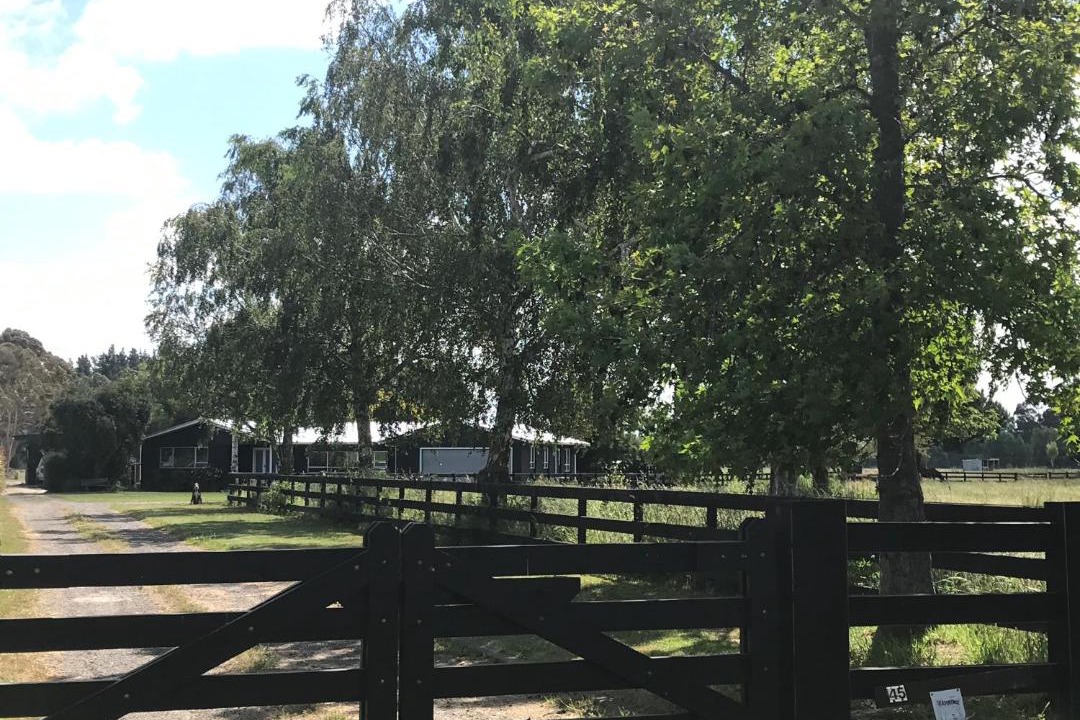 Photo of Others in Longlands