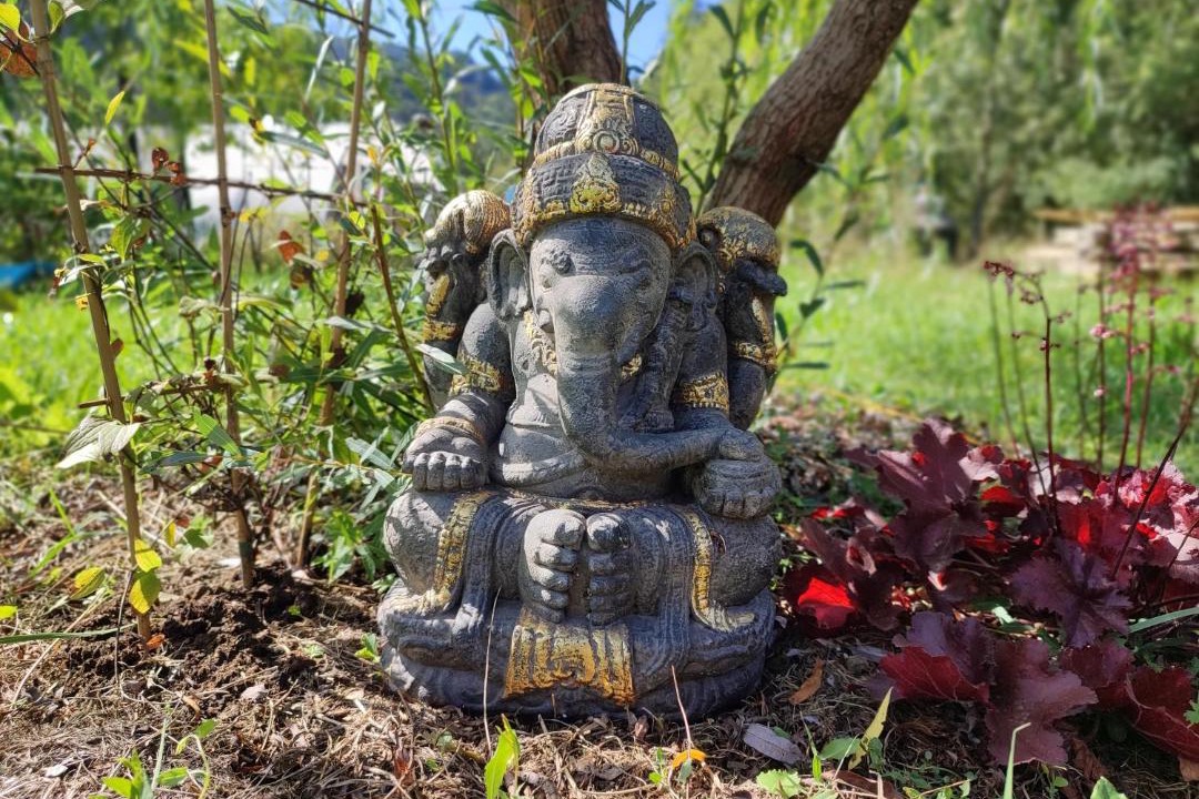 Photo of Outdoor in Boulc