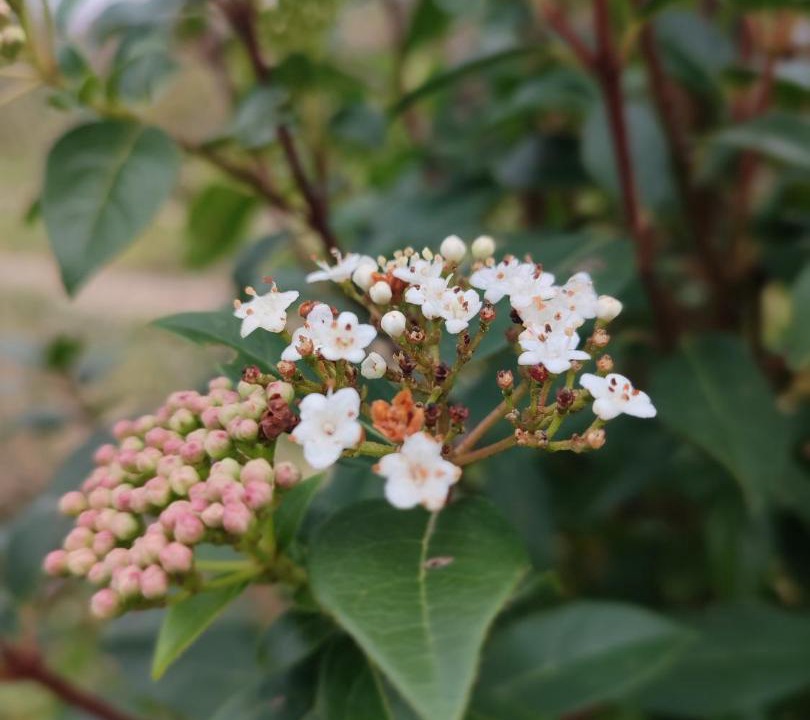 Photo of Outdoor in Boulc