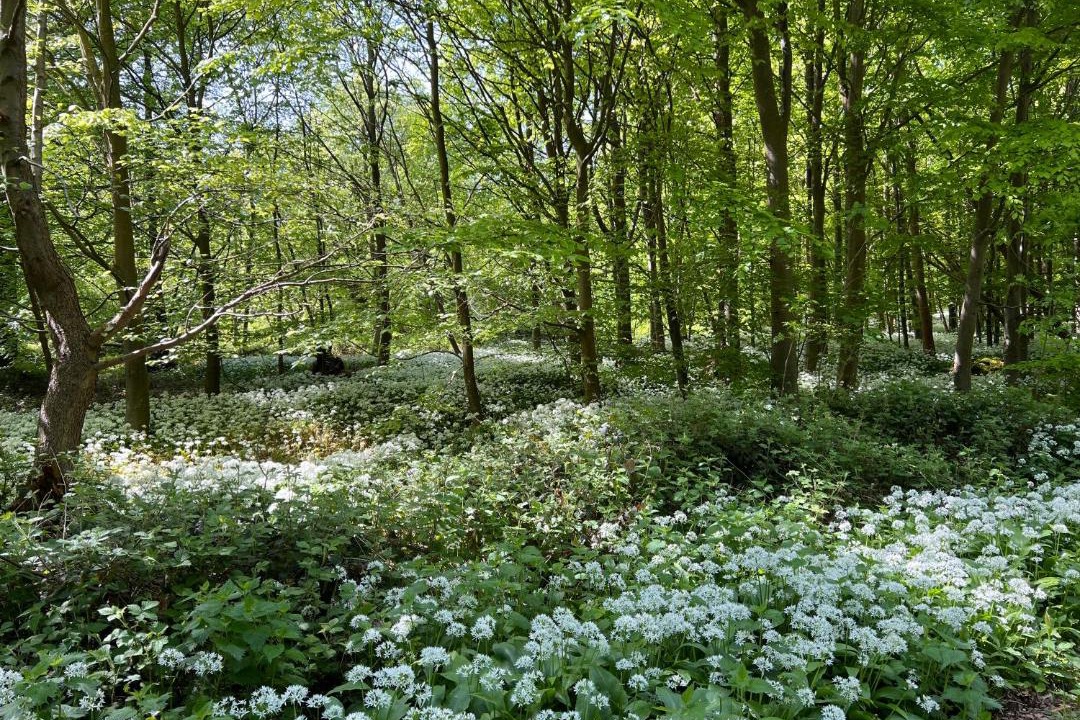 Photo of Others in Fredericia