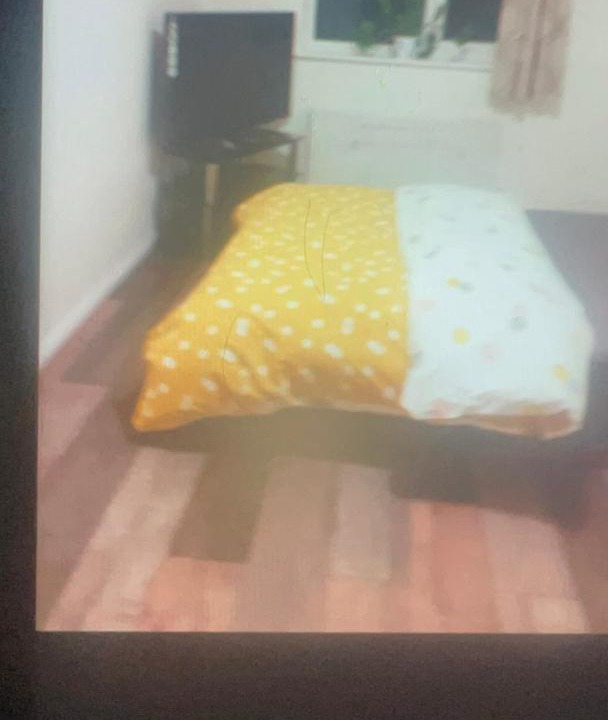 Photo of Others in Bellingham