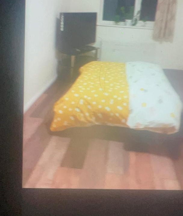 Photo of Others in Bellingham