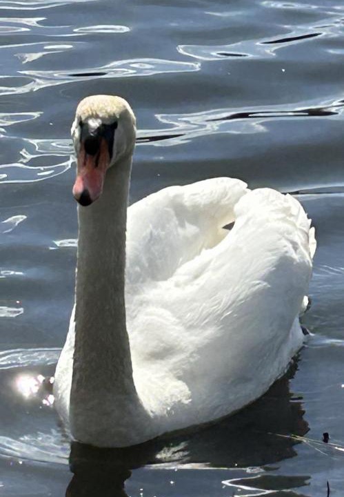 Photo of Others in Puttelange-aux-Lacs