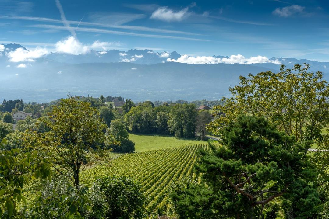 Photo of Others in Myans