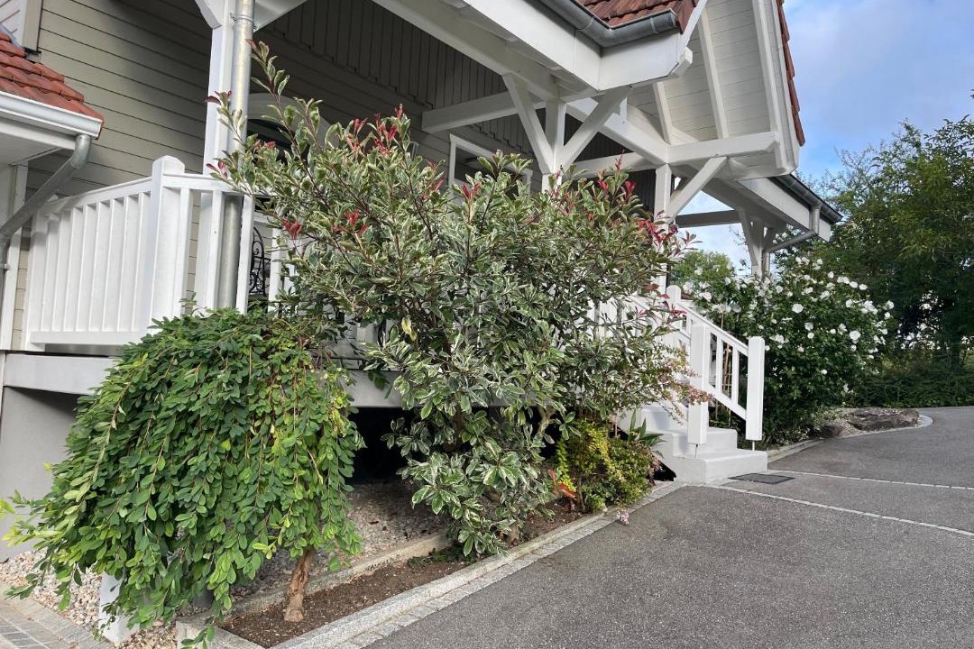 Photo of Others in Waldighofen