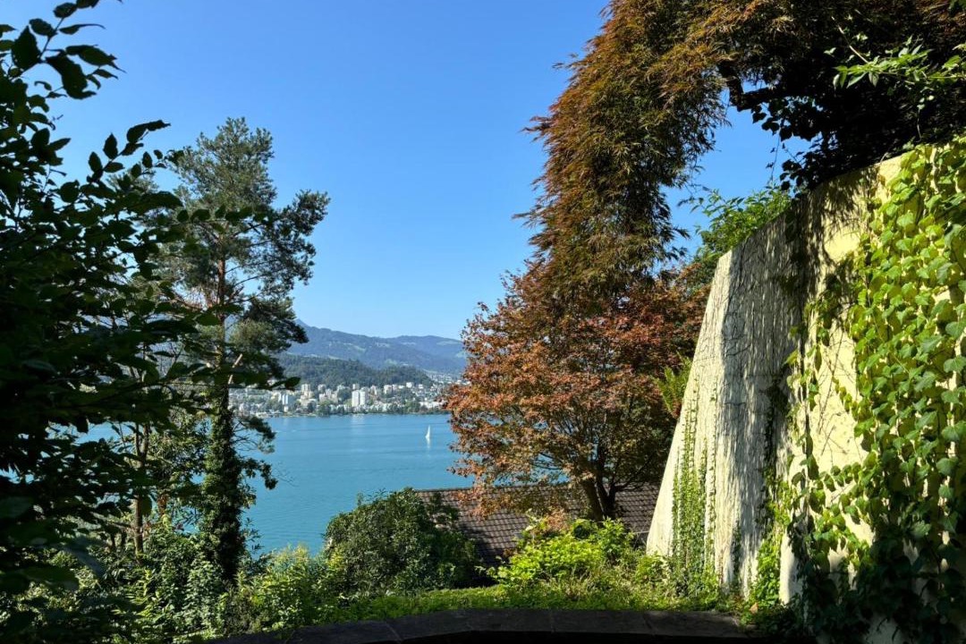 Photo of Others in Lucerne