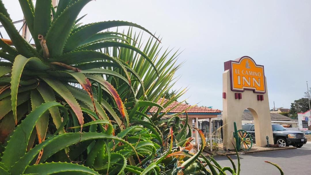 Photo of Others in Daly City