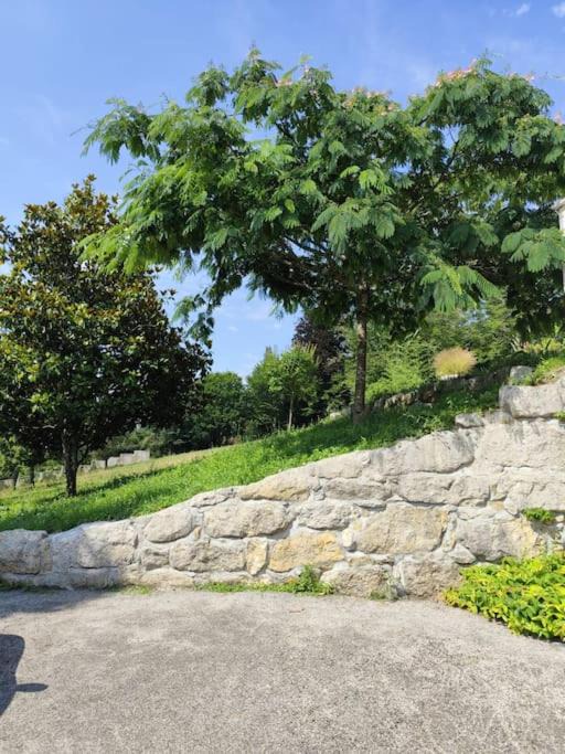 Photo of Others in Belley