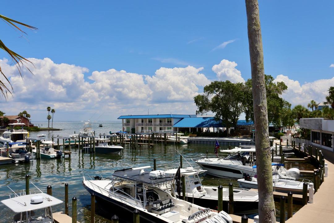 Photo of Others in Pinellas Point