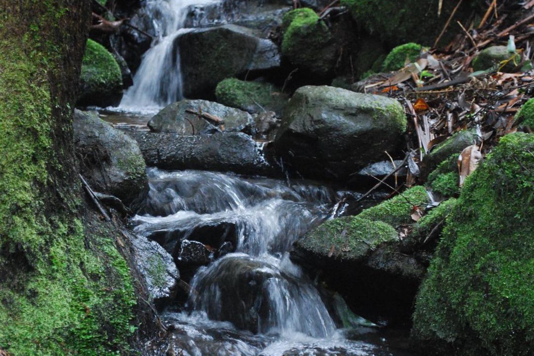 Photo of Others in Olinda