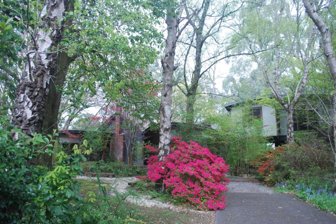 Photo of Others in Olinda