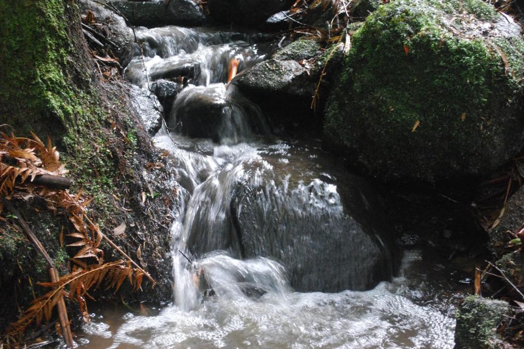 Photo of Others in Olinda