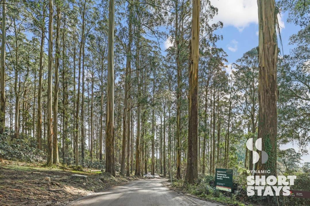 Photo of Others in Olinda