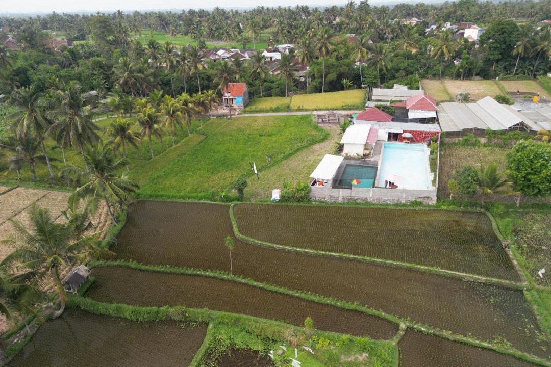 Photo of Others in Kotaraja