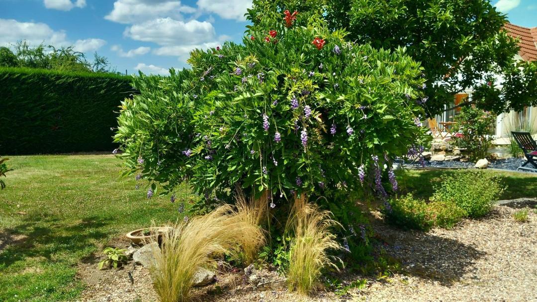 Photo of Outdoor in Cercy-la-Tour