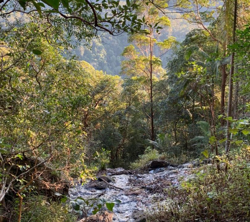 Photo of Others in Montville