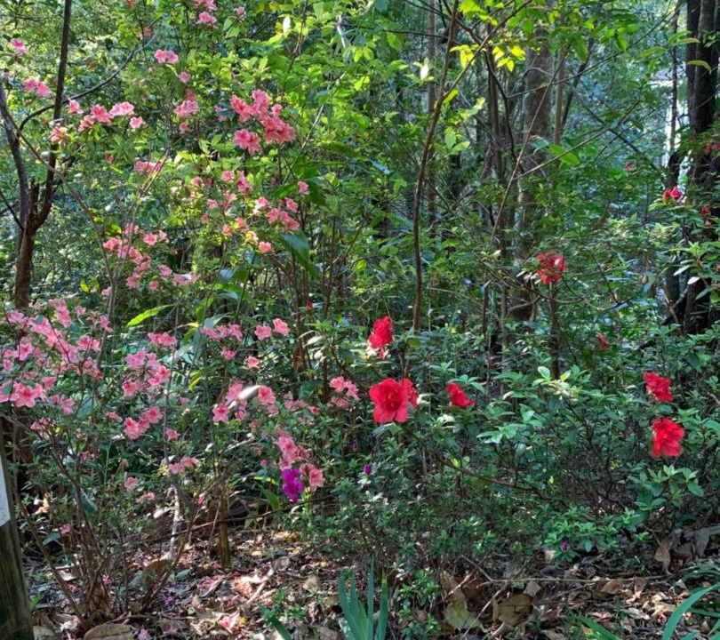 Photo of Outdoor in Montville